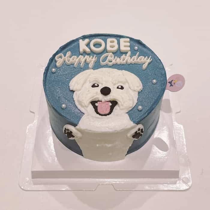 Trần Ngọc Huyền avatar